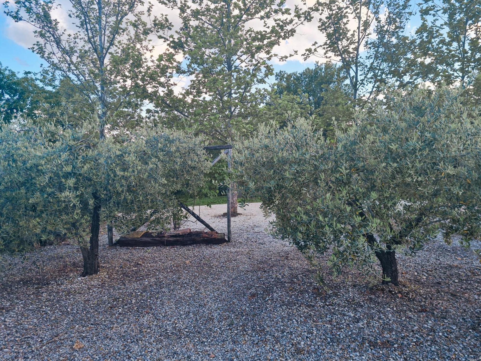 La Mela Rosa Bed & Breakfast Amandola Luaran gambar